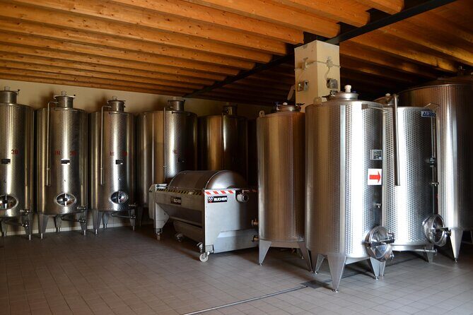 Amarone Della Valpolicella Wine Experience - Meet the Vogadori Family - Guided Visit: Learning the Process Without Making It Pretend