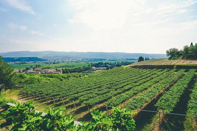 Amarone Wine-tasting Tour from Verona with Private Transportation - Small-Group Size and Private Van: Comfort That Actually Matters