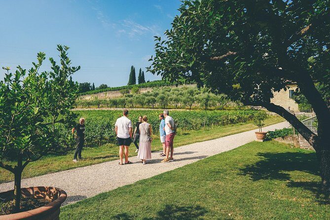 Amarone Wine-tasting Tour from Verona with Private Transportation - Stop 1: Teatro Ristori Meet-Up and the Ride Through the Hills
