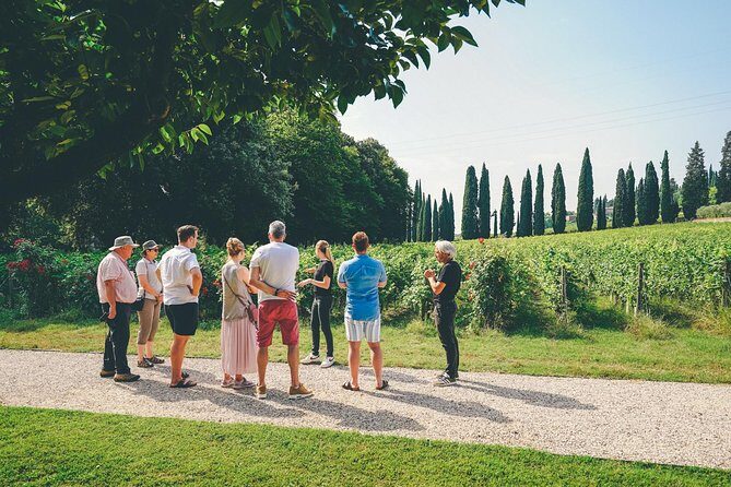 Amarone Wine-tasting Tour from Verona with Private Transportation - Local Pairings: Why the Snacks Help Your Tasting
