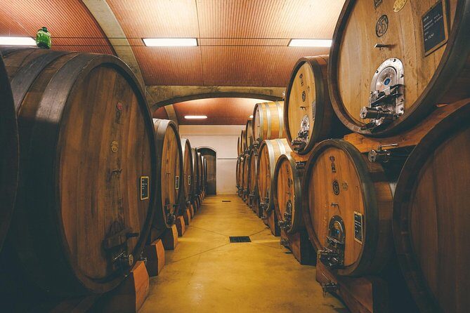 Amarone Wine-tasting Tour from Verona with Private Transportation - Pacing and Drinking: Keep It Enjoyable