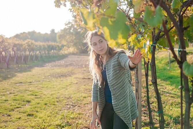 Amarone Wine Tour - Key highlights to know before you go