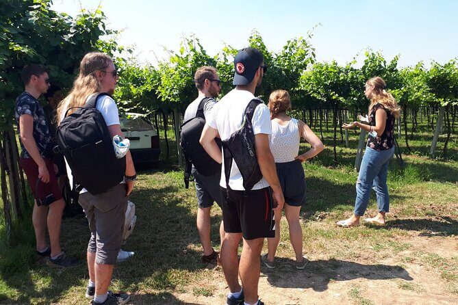 Amarone Wine Tour - Fruit cellar and winemaking rooms: seeing the production philosophy