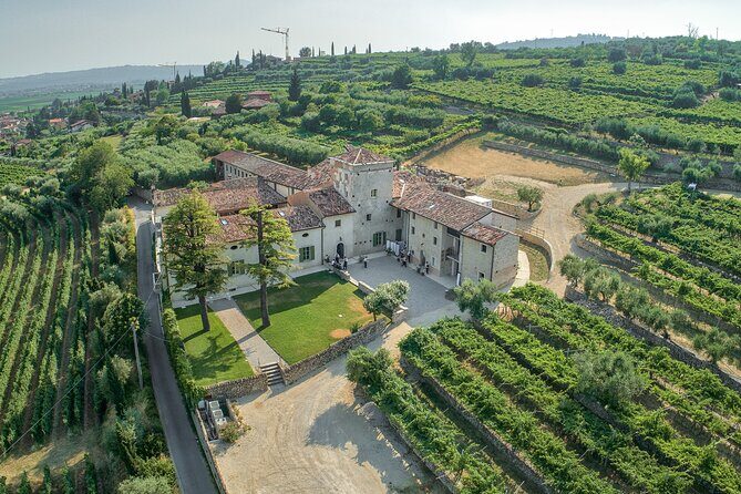 Art & Wine Experience in Valpolicella at Palazzo Montanari - Key highlights worth planning around