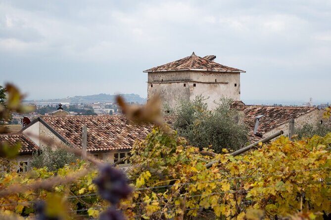 Art & Wine Experience in Valpolicella at Palazzo Montanari - Olive oil + cheese and cured meats: the easy pairing that works