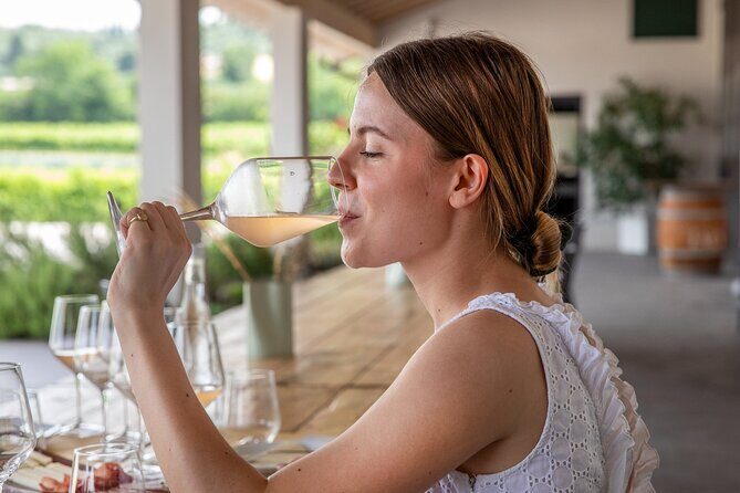 Bardolino Wine Experience - Key highlights you’ll feel right away