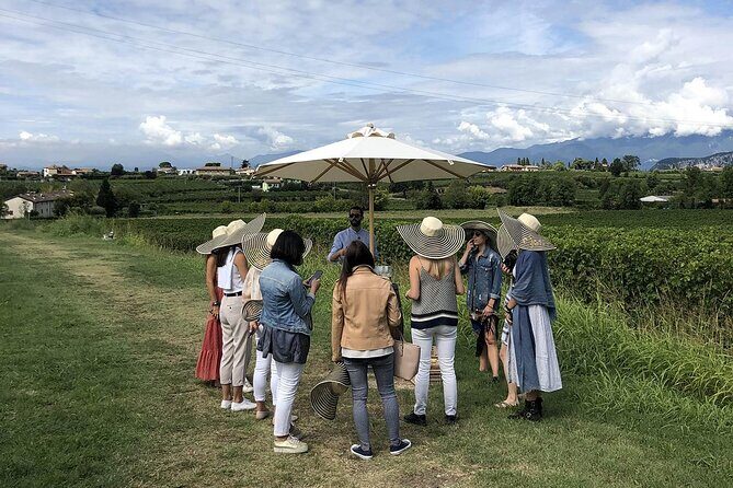 Bardolino Wine Experience - Bardolino and Lake Garda: why the schedule includes them