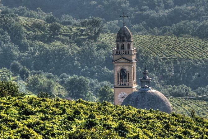 Bike Station Valpolicella: E-bike tour & Amarone Tasting - Getting out of Verona: how the day is paced