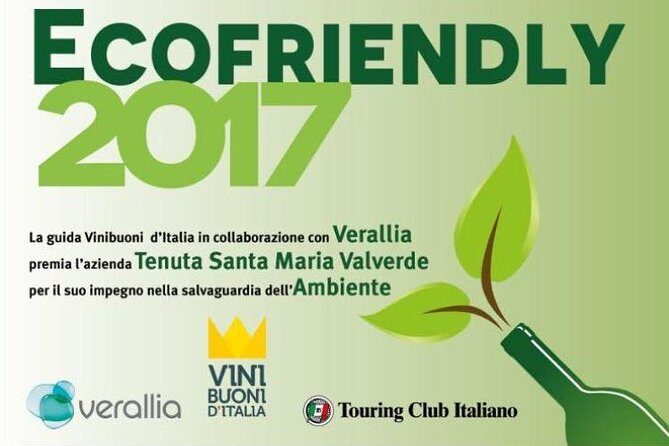 Bike Station Valpolicella: E-bike tour & Amarone Tasting - Price and value: what $131.81 buys in wine country