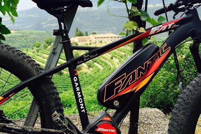 Bike Station Valpolicella: E-bike tour & Amarone Tasting - Should you book Bike Station Valpolicella with Amarone tasting?