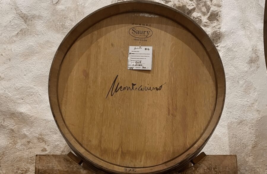 Boutique Winery Tour & Tasting in Valpolicella - Summer extra: the Renato Casaro movie poster museum