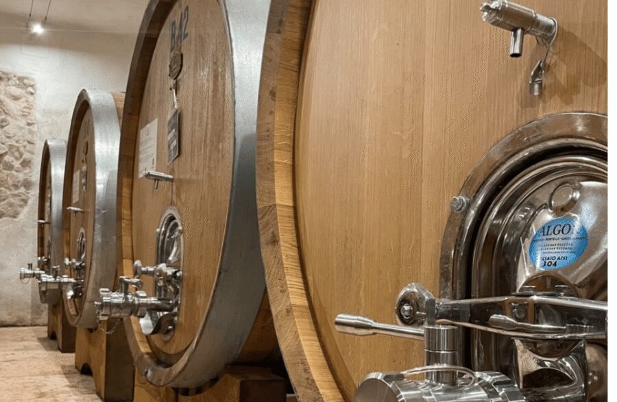 Boutique Winery Tour & Tasting in Valpolicella - Who should book (and who should skip it)