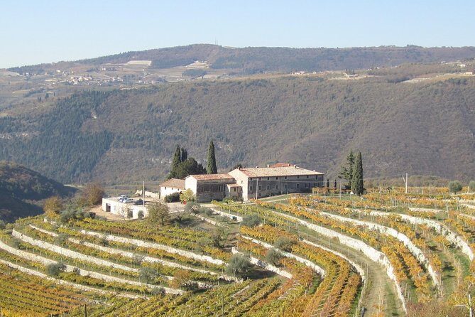 Champagne Experience at a Boutique Winery - Who will love this most (and who should rethink it)