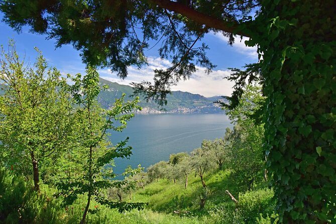 City Escape: Lake Garda Private Day Trip from Verona - Padenghe and Pratello’s Underground Winery: Wine Tasting With Local Bites