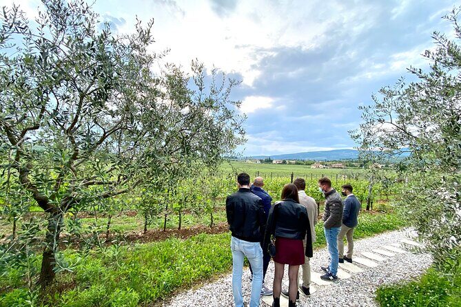 Discover the Amarone wine: 1 winery with delicious food pairing - The Winemaking Walk: From Fermentation to Bottling