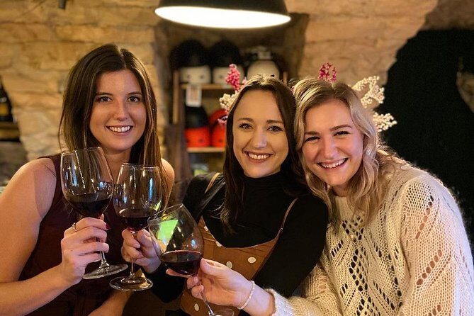Discover Valpolicella Vineyards and Wine Tasting Experience - Tastings: Valpolicella, Ripasso, Amarone, and how to taste along
