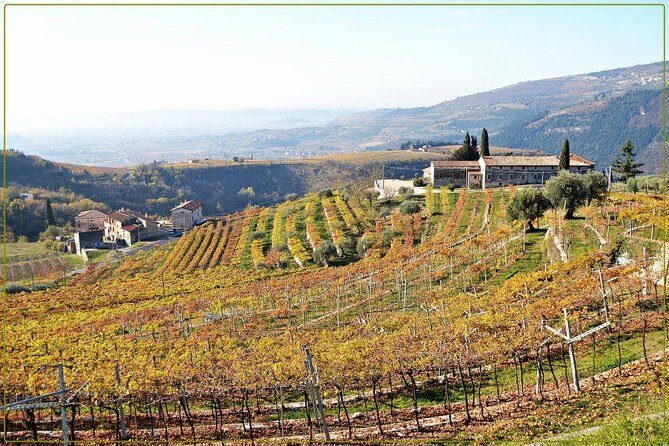 Discover Valpolicella Vineyards and Wine Tasting Experience - Food pairing: olive oil, Monte Veronese, Soppressa, and local add-ons