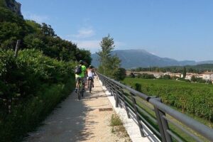 E-Bike Tour and Wine Tasting from Bardolino - Rolling Along the Lakefront: The Bike Path Moment You’ll Remember