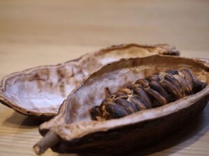 Fine Chocolate Tasting in Turin - Your 1-hour tasting flow: Gianduja to dark, milk, and white