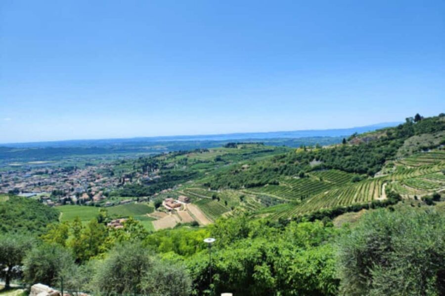 From Verona: Amarone Half-Day Wine Tasting Tour - From Pagus Wine Tours to San Giorgio di Valpolicella in real time