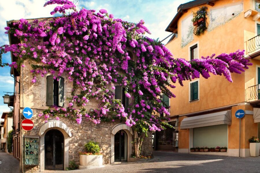 From Verona: discover Lake Garda and Sirmione private tour - Price and value: what $564.62 per group up to 2 really buys