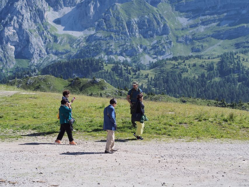 From Verona: Full-day Dolomites Mountains Guided Tour - Price and value: what the €147 buys, and what to budget next