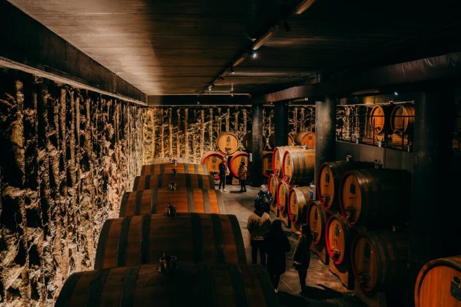 From Verona: Valpolicella and Amarone Wine Tasting Tour - Key points worth your time