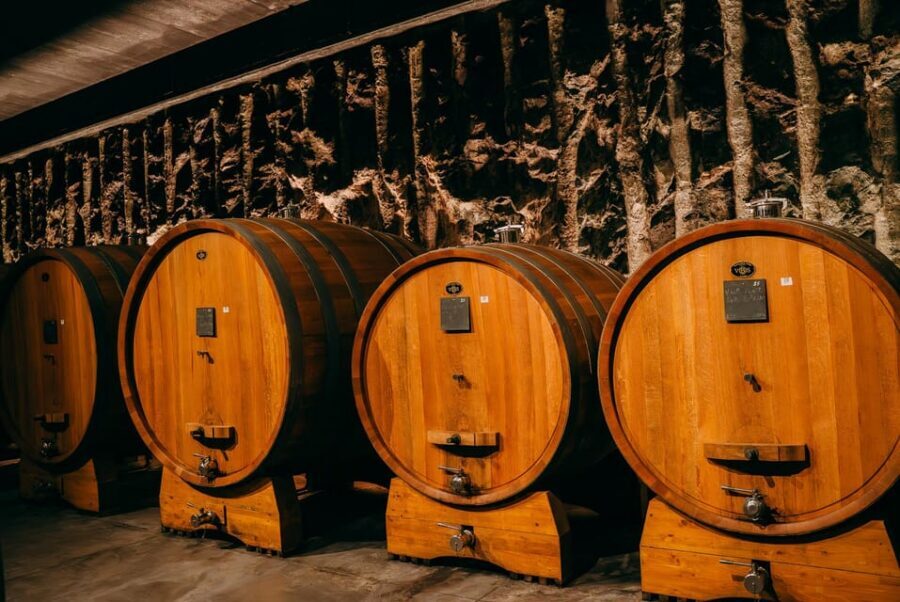 From Verona: Valpolicella and Amarone Wine Tasting Tour - Ripasso and Amarone lessons: what the guides focus on in real terms