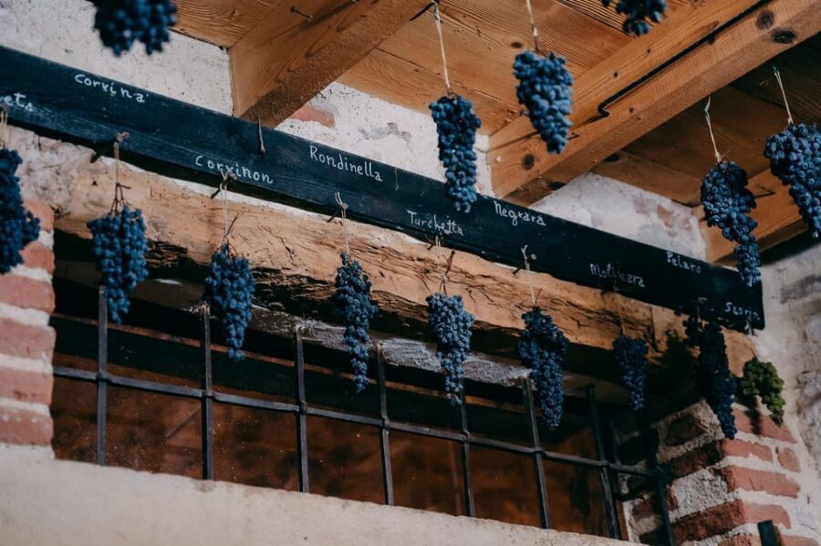 From Verona: Valpolicella and Amarone Wine Tasting Tour - Van transfers and timing: how the 4-hour plan stays comfortable