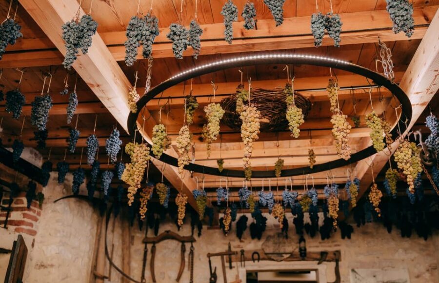 From Verona: Valpolicella and Amarone Wine Tasting Tour - Who should book this Valpolicella and Amarone tour