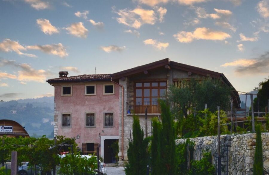 From Verona: Valpolicella Winery Tour with Amarone Vintages - Who this tour fits best