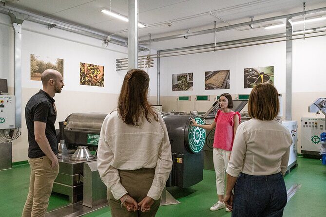 Lake Garda Olive Oil Tour and Tasting Experience - What’s included (and what you shouldn’t expect)