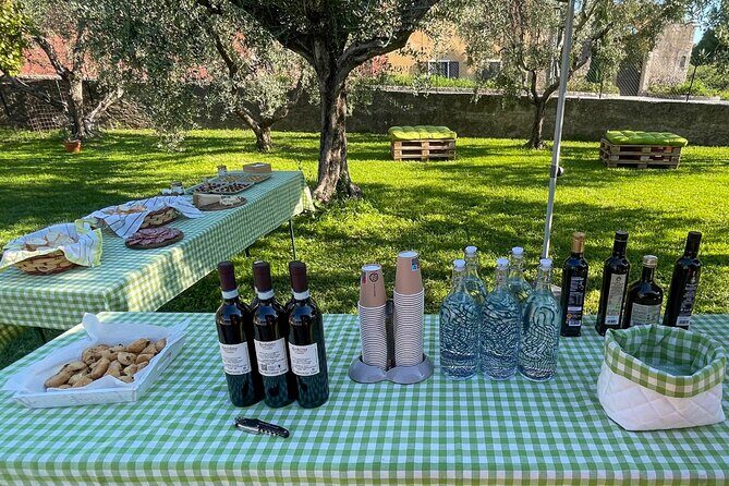 Lake Garda Olive Oil Tour and Tasting Experience - Price and value: is $34.84 worth it?