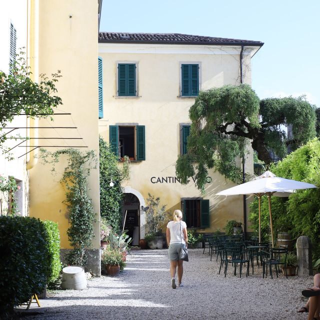 Lazise: Historical Center Wine Tasting Tour - The tasting flight: whites, Bardolino, then Syrah, Così, and Ettore