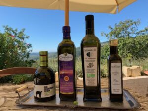 Marano di Valpolicella: DOP Olive Oil Tasting Experience - The 2-hour flow: garden walk, olive collection room, and the 17th-century cellar