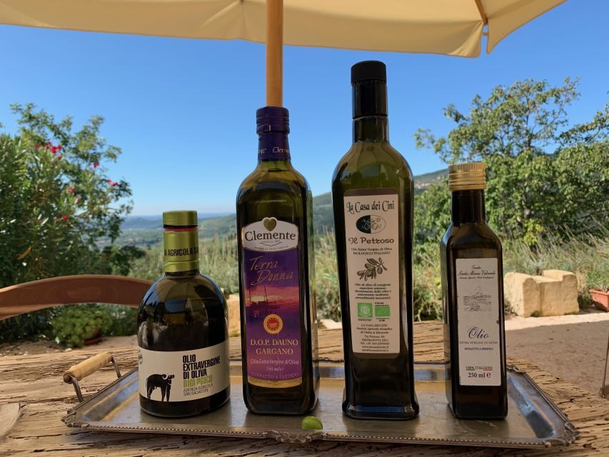 Marano di Valpolicella: DOP Olive Oil Tasting Experience - The 2-hour flow: garden walk, olive collection room, and the 17th-century cellar