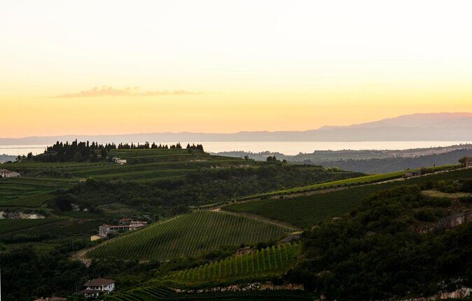 Pagus Wine Tours® - A taste of Amarone - Half day wine tour - Quick Hits Before You Go