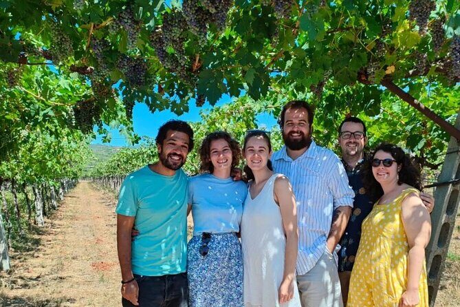Pagus Wine Tours® - A taste of Amarone - Half day wine tour - Amarone Winery Visit: What the Tasting Day Feels Like