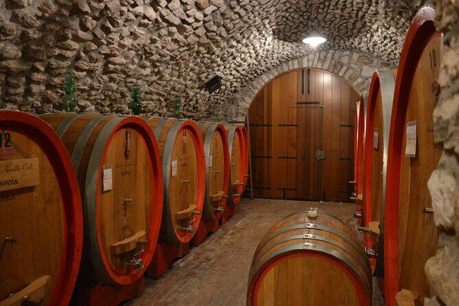 Pagus Wine Tours® - A taste of Amarone - Half day wine tour - Transportation and Timing: Easy Verona, Clean Flow