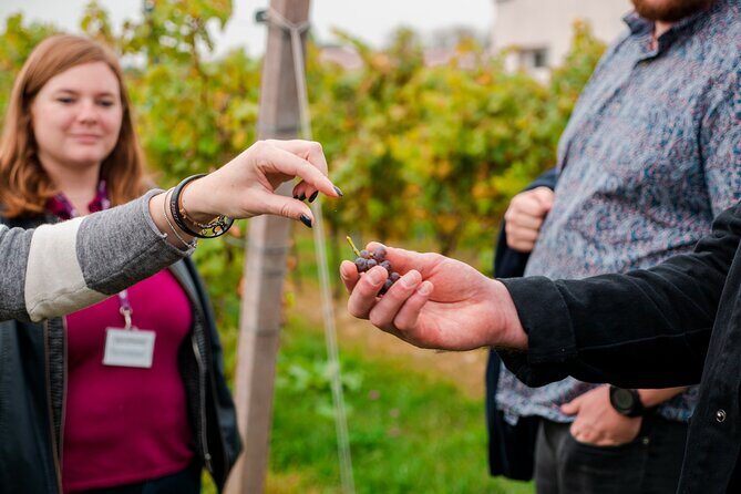 Pagus Wine Tours® - Sirmione by boat and Amarone - Full day tour - Small-Group Logistics: Where You Meet, How Long It Takes, and the Waiting Rule