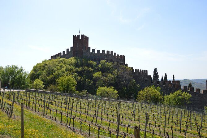 Pagus Wine Tours® - Soave and Amarone - Half day wine tour - Snacks and pacing: how to make the tasting feel good