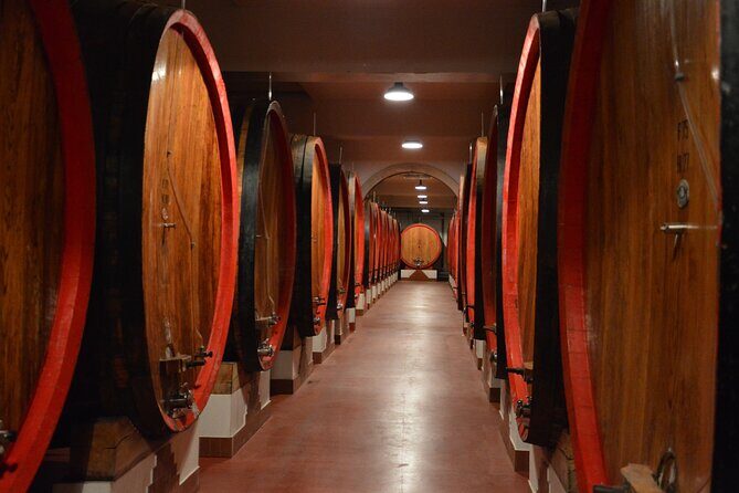 Pagus Wine Tours® - Soave and Amarone - Half day wine tour - What to bring (so the cellar doesn’t ruin your afternoon)