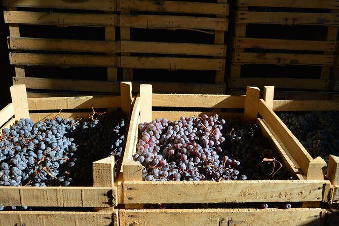 Pagus Wine Tours® - Two Amarone wineries - Half day wine tour - Winery tastings: how the flights are structured