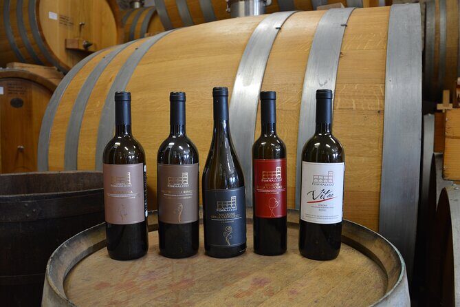 Pagus Wine Tours® - Two Amarone wineries - Half day wine tour - Comfortable transport: air-conditioned minivan, small group vibe