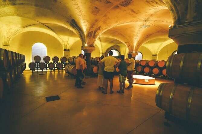 Small-group Amarone Wine e-Bike Tour from Verona - Safety and road reality on e-bikes