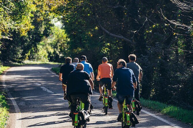 Small-group Amarone Wine e-Bike Tour from Verona - The ride out of Verona: countryside views, olives, and vineyard rows