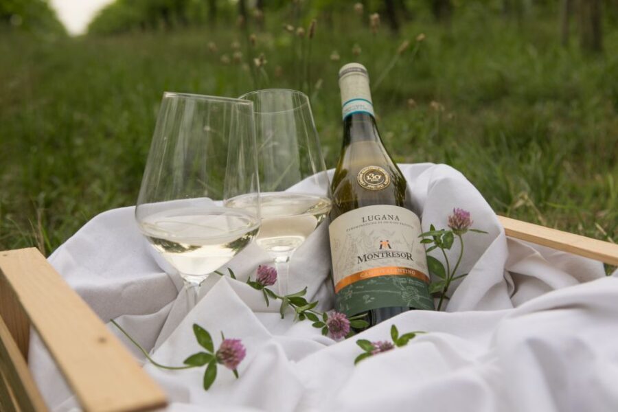 Taste with us Bardolino, Chiaretto and Lugana near Verona - The Verona-area setting: why Lake Garda wines feel different