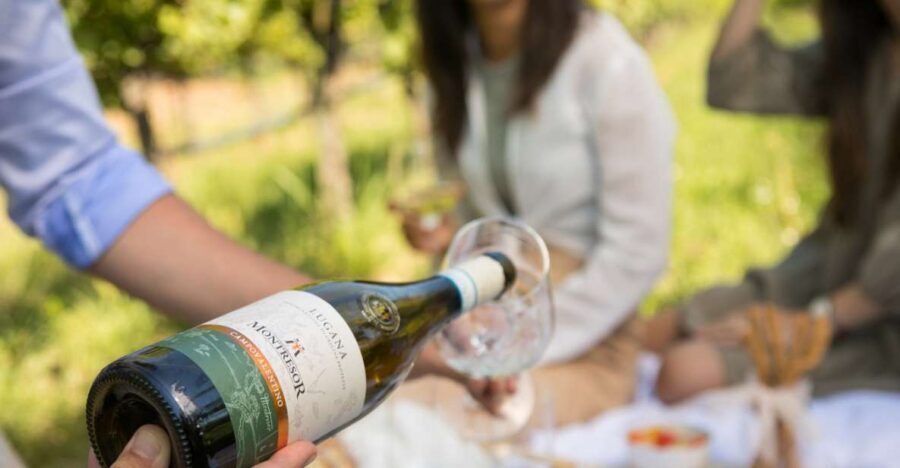 Taste with us Bardolino, Chiaretto and Lugana near Verona - The tasting lineup: Lugana vs Chiaretto vs Bardolino DOP