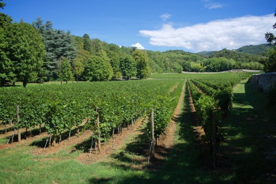 Valpolicella: Amarone Chateau Guided Tour and Wine Tasting - The fruttaio: how Appassimento drives Amarone’s character