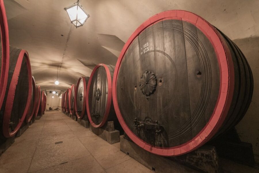 Valpolicella: Amarone Chateau Guided Tour and Wine Tasting - Price and value: is $42 for 1.5 hours worth it?